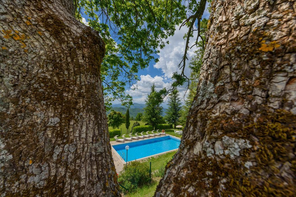 Agriturismo Casapasserini Londa Extérieur photo